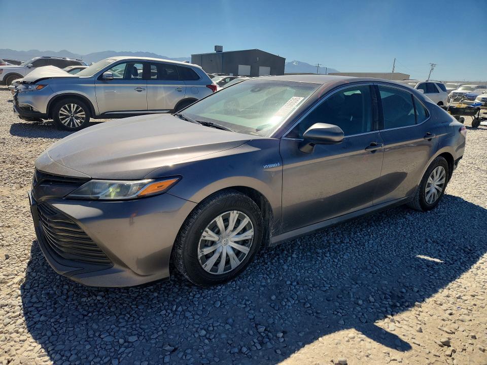 4T1C31AK4LU017497