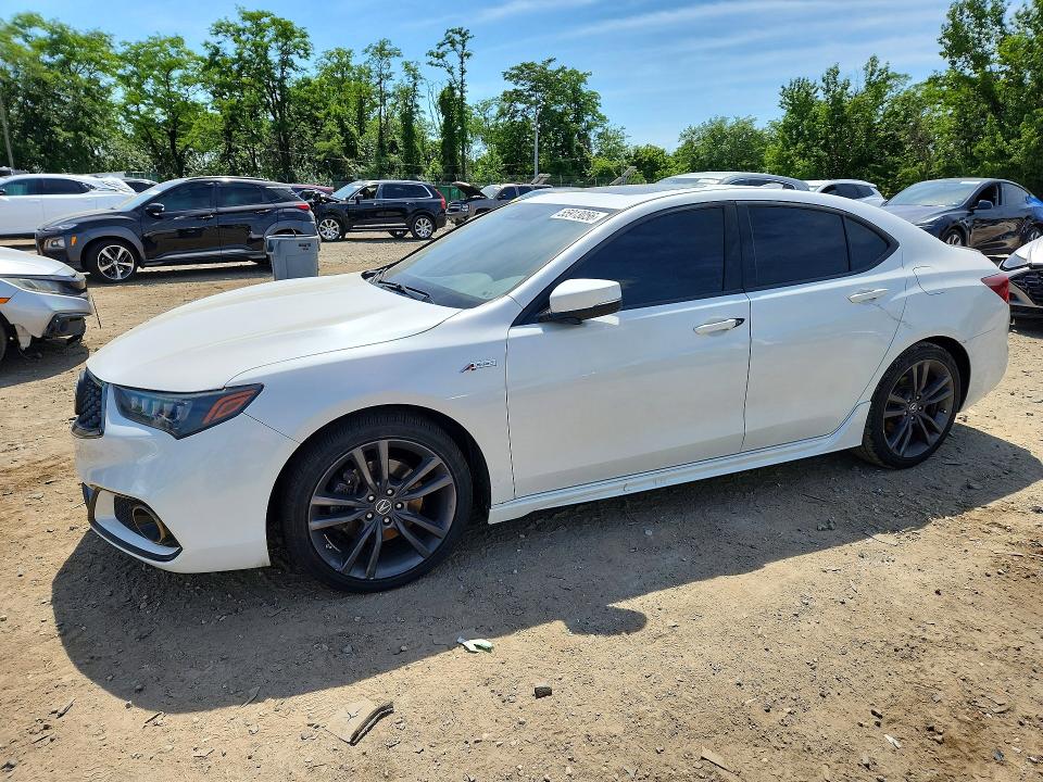 19UUB2F66KA005995