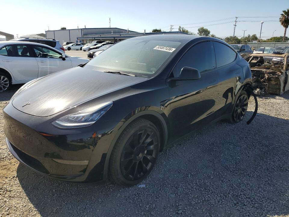 7SAYGDEEXPA102766