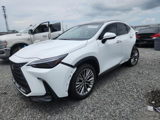 JTJHKCEZ2T2079019