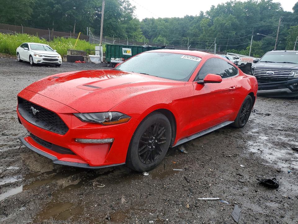 1FA6P8TH2L5186952