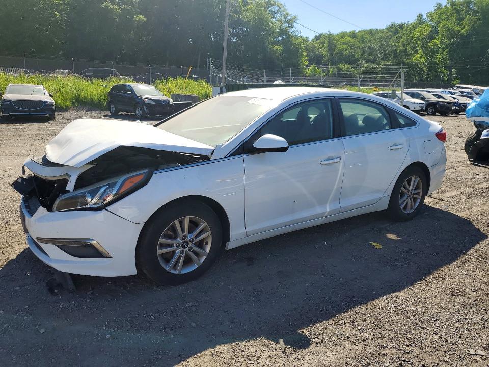 5NPE24AF7FH004147
