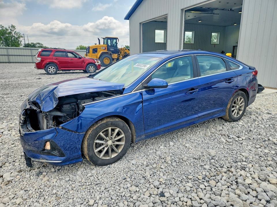 5NPE24AF7JH710169