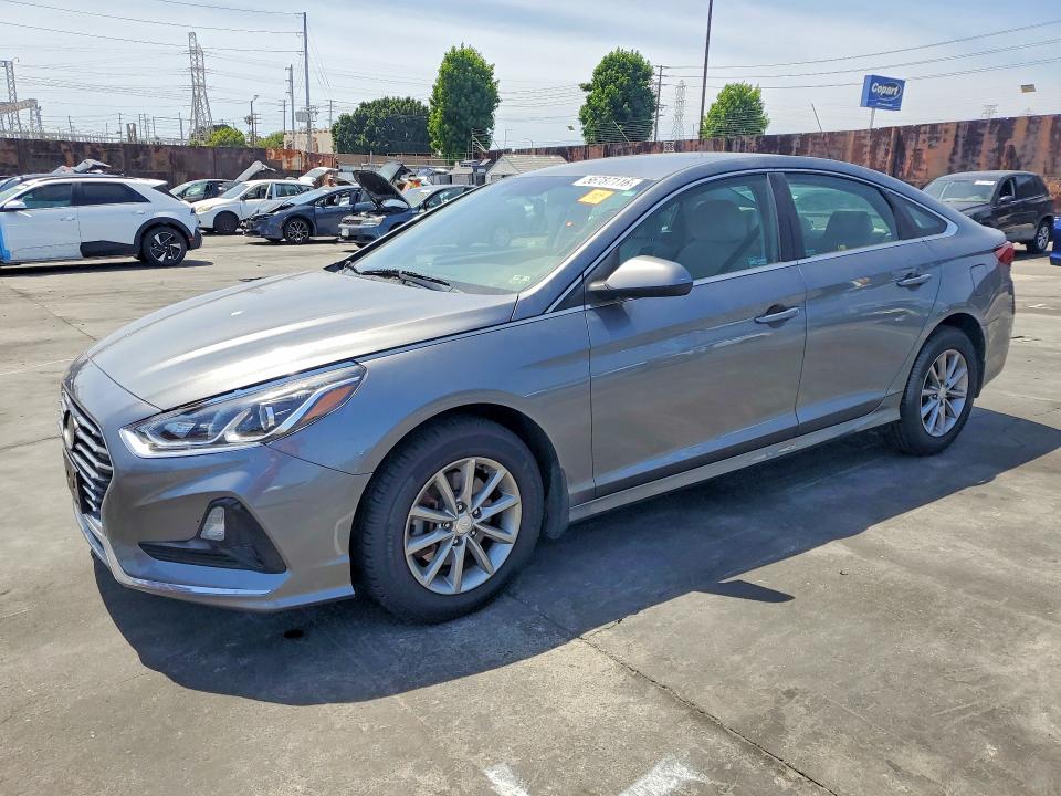 5NPE24AF3JH696335