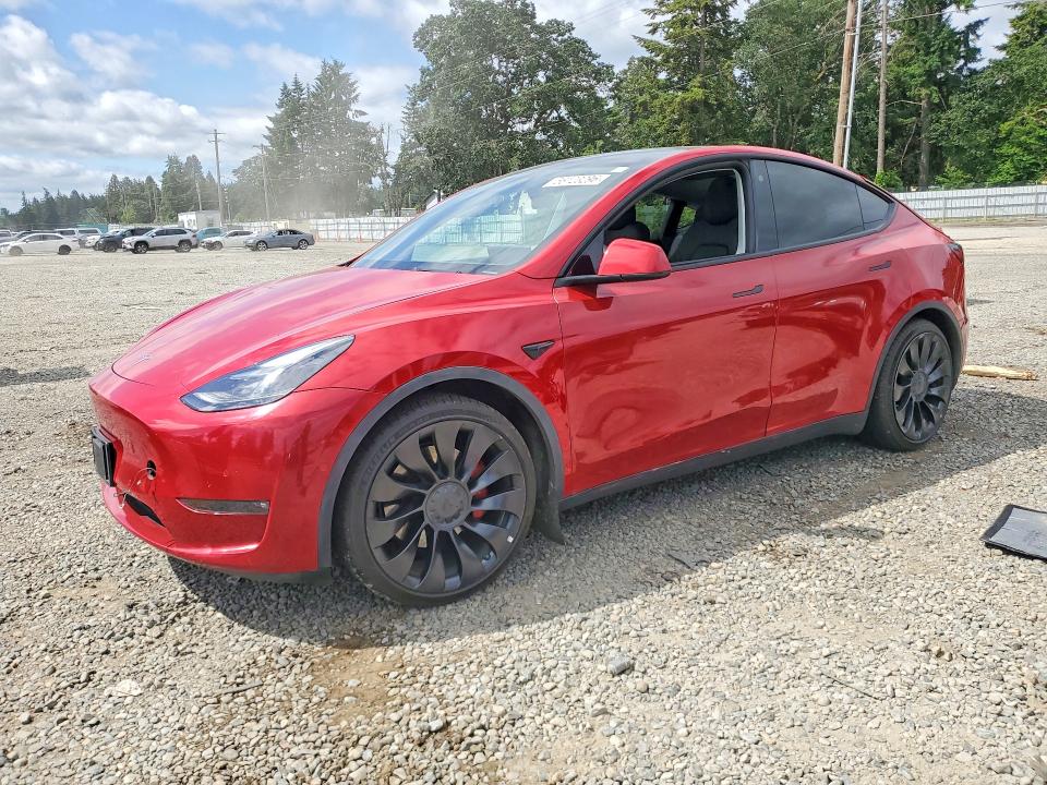 7SAYGDEF8NF464247