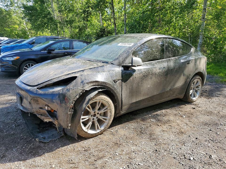 7SAYGDEE8NF565523