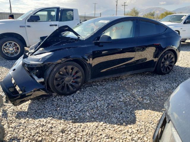 7SAYGDEF6RF048557