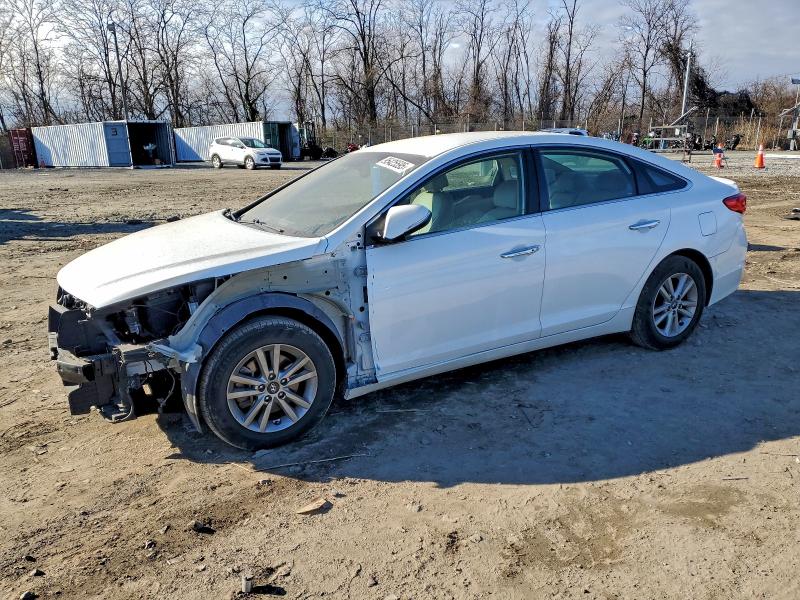 5NPE24AA5FH134531